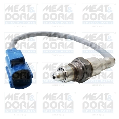 Oxygen Sensor